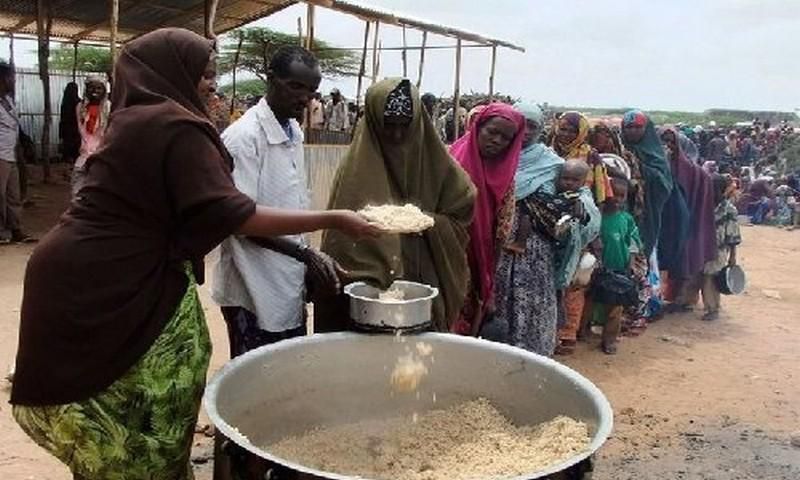 Insécurité alimentaire