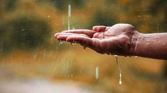 Pourquoi il ne faut surtout pas boire d'eau de pluie