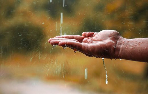Pourquoi il ne faut surtout pas boire d'eau de pluie