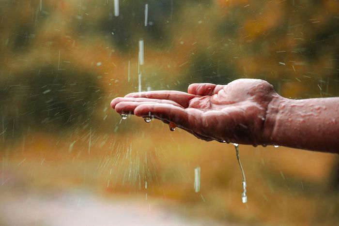 Pourquoi il ne faut surtout pas boire d'eau de pluie