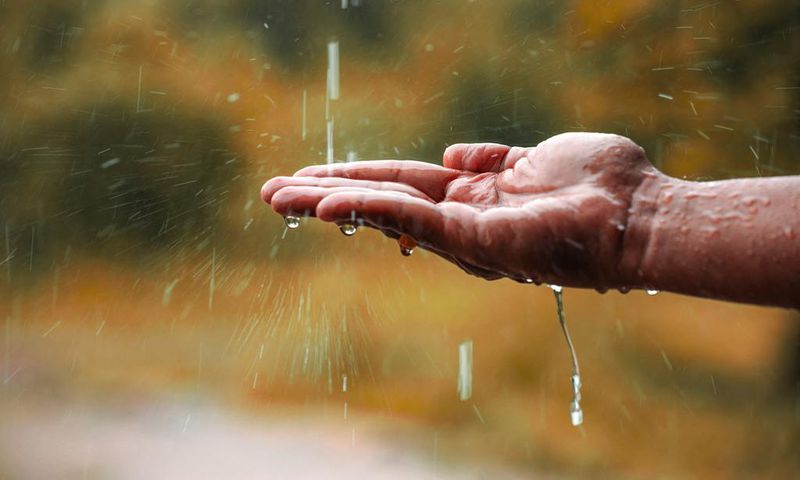 Pourquoi il ne faut surtout pas boire d'eau de pluie