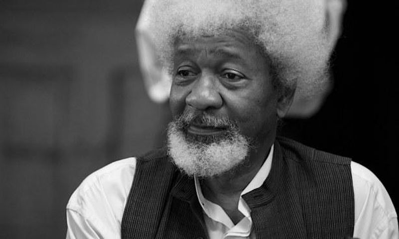 Professor Wole Soyinka speaks on President Buhari's RUGA scheme (Books Live)