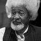 Professor Wole Soyinka speaks on President Buhari's RUGA scheme (Books Live)