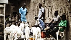 Chômage des jeunes au Sénégal