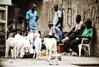 Chômage des jeunes au Sénégal