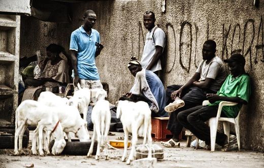 Chômage des jeunes au Sénégal