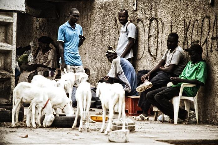Chômage des jeunes au Sénégal