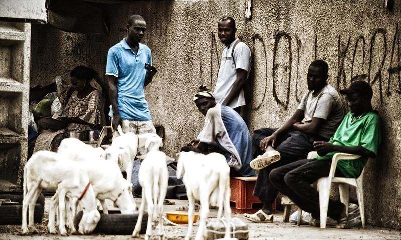 Chômage des jeunes au Sénégal