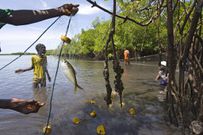 Pèche dans une lagune