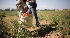 Italie migration