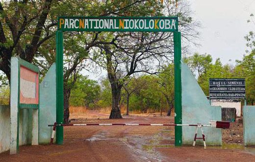 parc-du-niokolo-koba-senegal