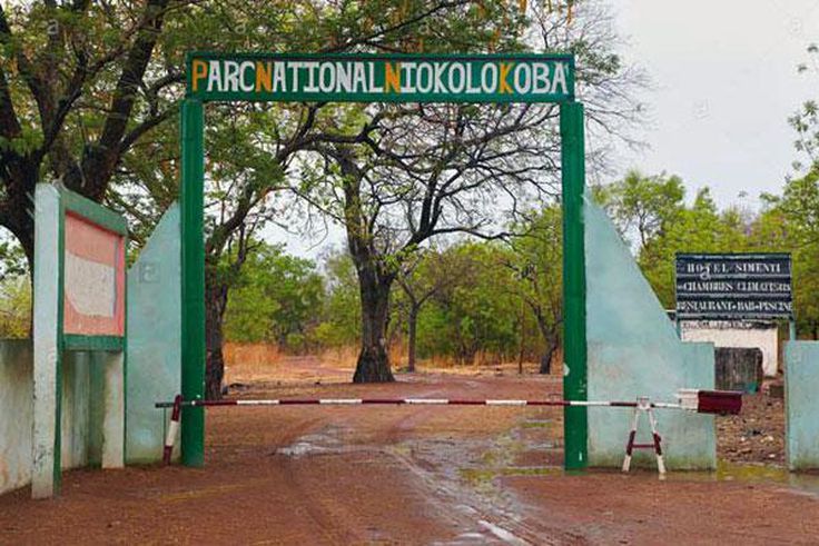 parc-du-niokolo-koba-senegal