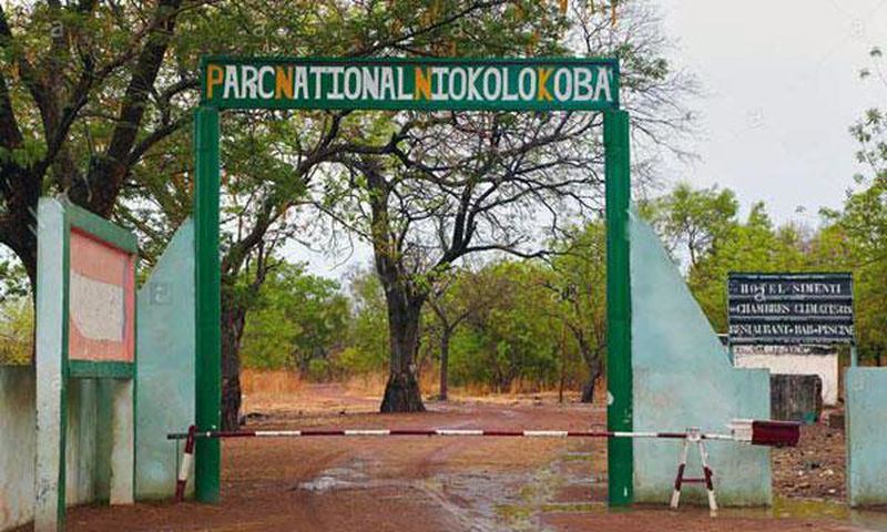 parc-du-niokolo-koba-senegal