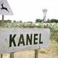 Kanel