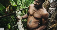 ils-se-scarifient-pour-avoir-des-ecailles-immersion-chez-hommes-crocodiles-de-papouasie-nouvelle-guinee