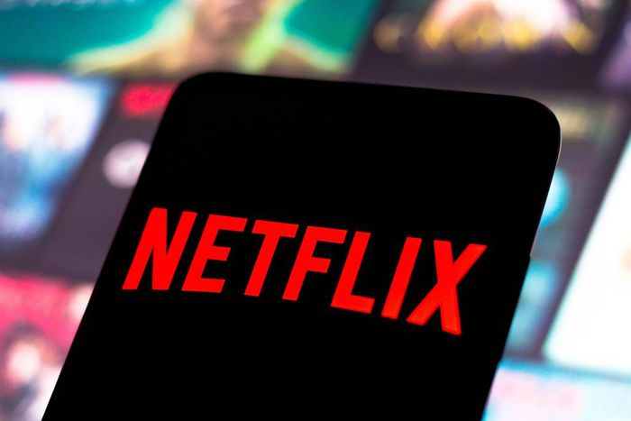 The Netflix logo is displayed on a smartphone screen.