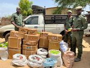 Saint-Louis : saisie de faux médicaments d'une contrevaleur de 71 millions FCFA