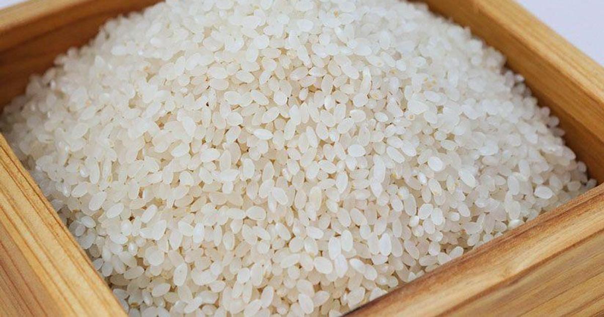 Une étude déconseille ces 5 marques de riz | Senegal