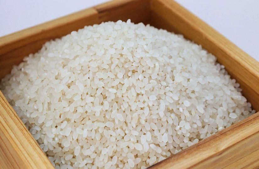 Riz