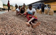 L'heure est aux échanges : les femmes d'Abidjan trient les fèves de cacao destinées à l'exportation