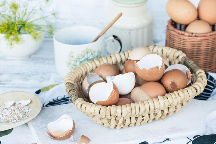 Eggshells are useful [Tomsguide]