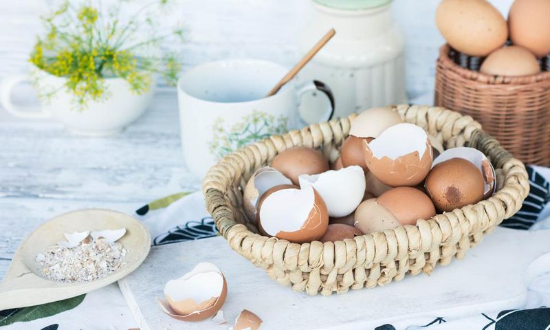 Eggshells are useful [Tomsguide]