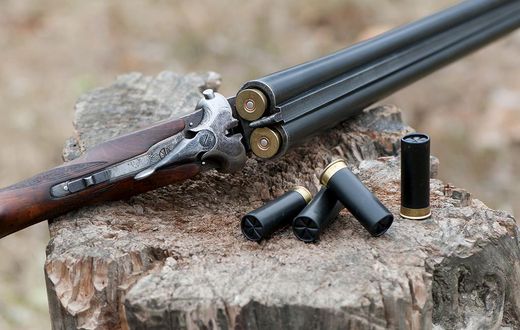 fusil-de-chasse