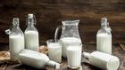 lait de vache
