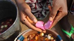 Huit bienfaits de la cola