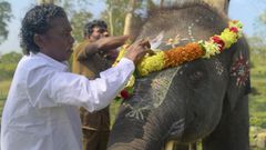 The Elephant Whisperers remporte le prix du meilleur court métrage documentaire