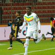 Senegal to face Algeria in CHAN final