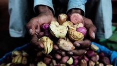 Huit bienfaits de la cola