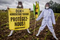 Greenpeace France contre les OGMs