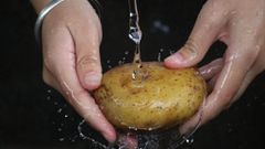 PATATE