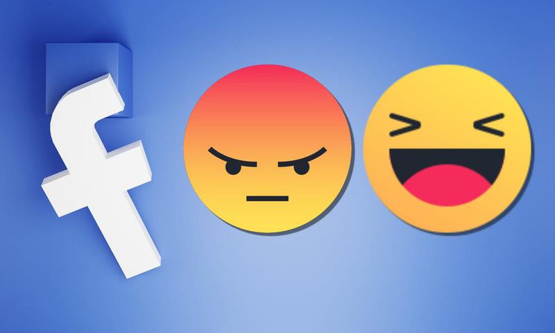 facebook-bug-