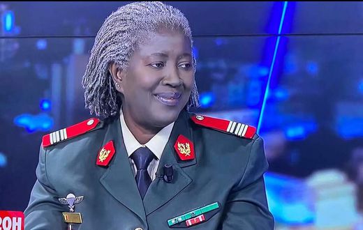 Colonel Youhanidou Wane