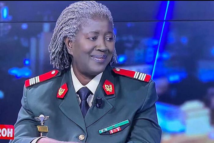 Colonel Youhanidou Wane