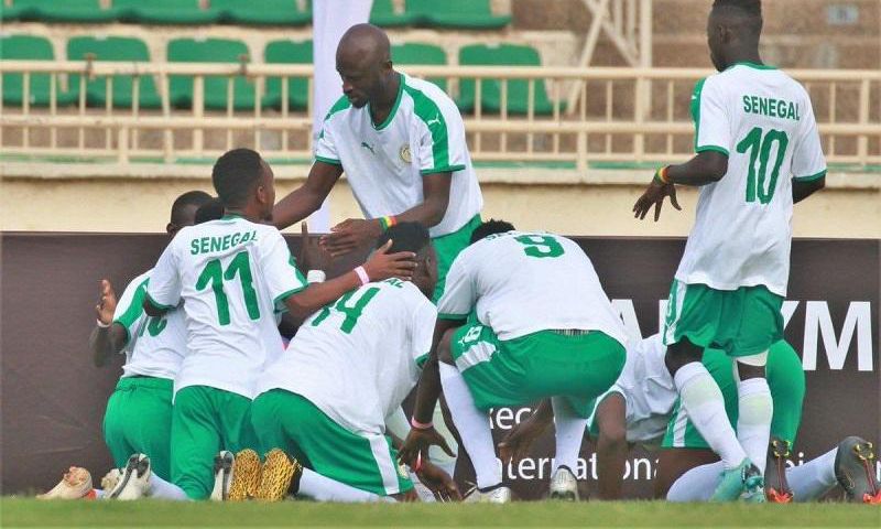 Les lions malentendants du Sénégal