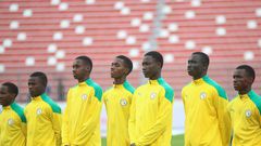 Lionceaux du Sénégal