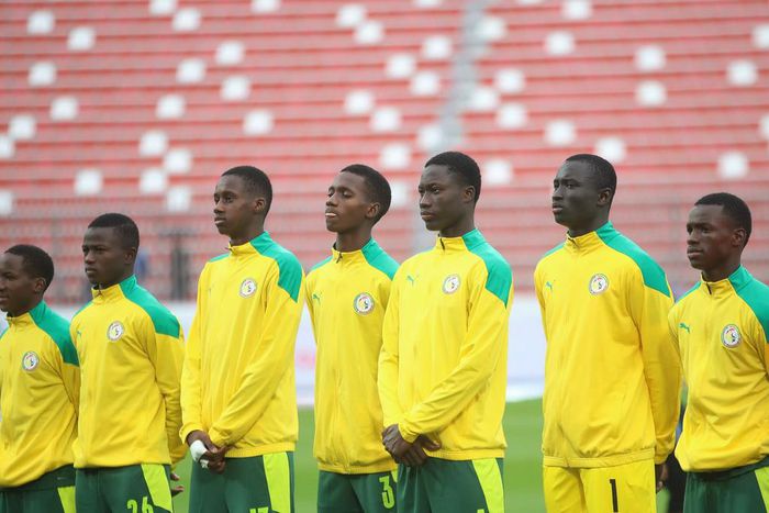 Lionceaux du Sénégal