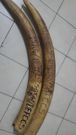 trompe eleph 1