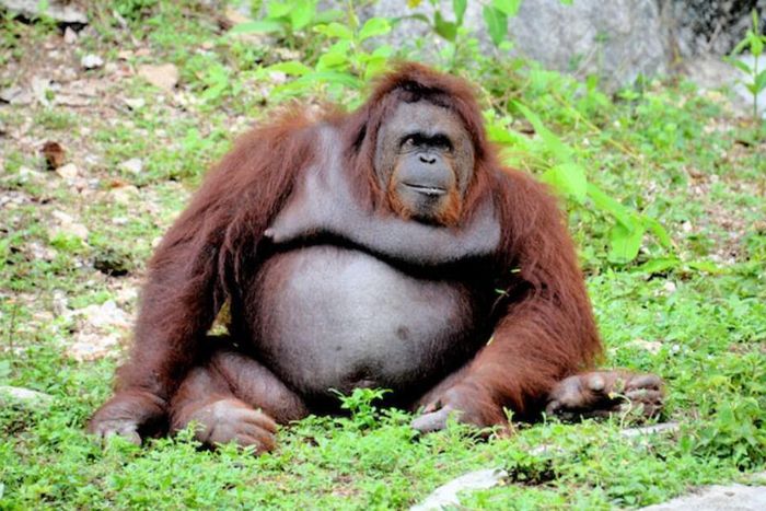 jeffrey-eisen-jqdou8phd34-unsplash