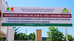 Université El Hadji Ibrahim Niass (Ussein)