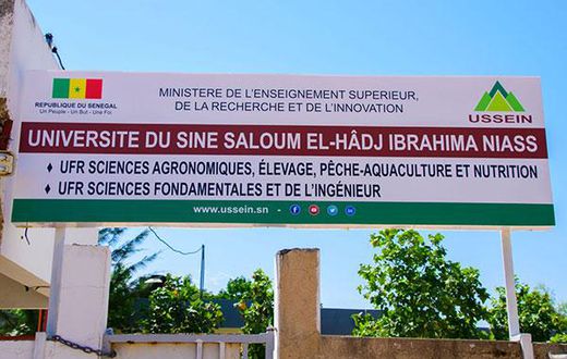 Université El Hadji Ibrahim Niass (Ussein)