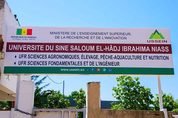 Université El Hadji Ibrahim Niass (Ussein)