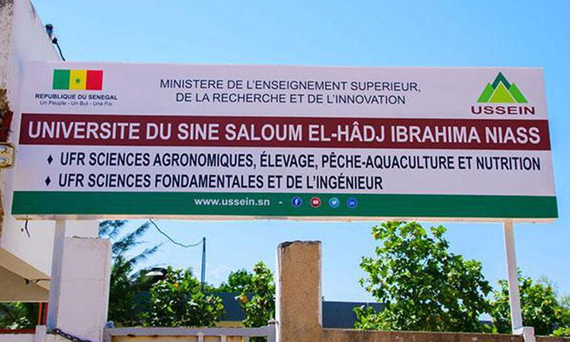 Université El Hadji Ibrahim Niass (Ussein)