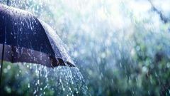 Pluie