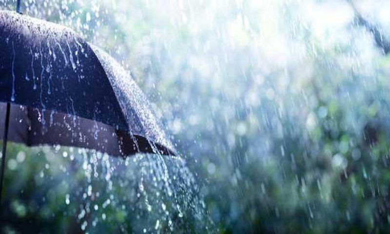 Pluie