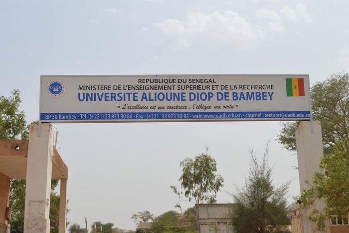 Université de Bambey