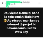 commentaire